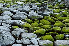 Day 100: Rocks in Keri island