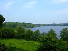 Rostherne Belaka National Nature Reserve - geograph.org.inggris - 813370.jpg