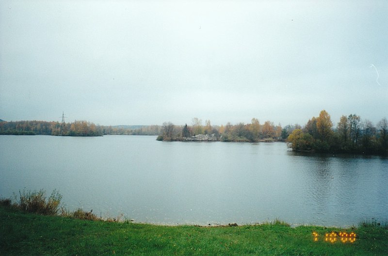 File:Sēlpils pilsdrupas 2000.jpg