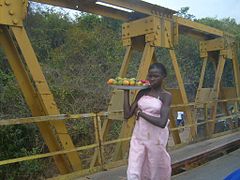 Ponte in ferro dell'età coloniale francese vicino a Bokè