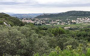 Saint-Bonnet-du-Gard (3).jpg