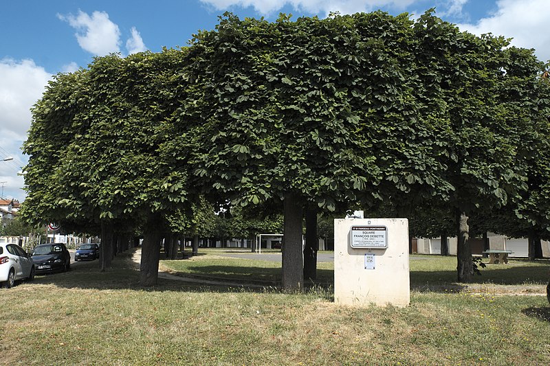 File:Saint-Fargeau-Ponthierry Square François Debette 217.jpg