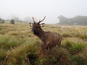 Parque Nacional De Las Llanuras De Horton