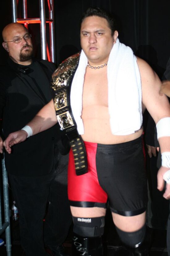 Samoa Joe (pictured) defended the TNA World Heavyweight Championship at Slammiversary.