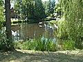 School pond in HH-Marmstorf (3) .jpg