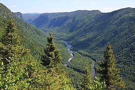 Temperate broadleaf and mixed forest in Saint Stephen.