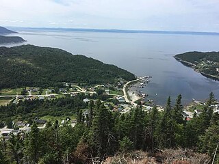 <span class="mw-page-title-main">Seal Cove, White Bay, Newfoundland and Labrador</span> Town in Newfoundland and Labrador, Canada