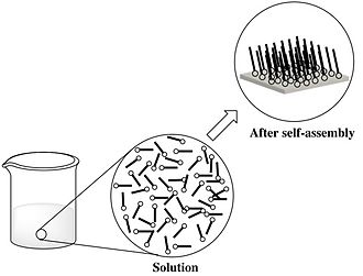 A directed assembly of nano particles. Here the particles form an organized structure from an initial disorganized state. Self-Assembly of Nanoparticles.jpg