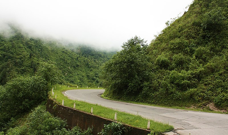 File:Selva en Tucuman.jpg