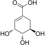 Strukturformel Shikimisäure
