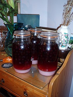 Sloe Gin.jpg