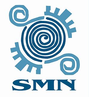 Smn logo.jpg