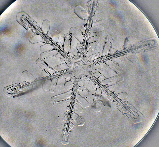 File:Snowflake - Microphotograph by artgeek.jpg