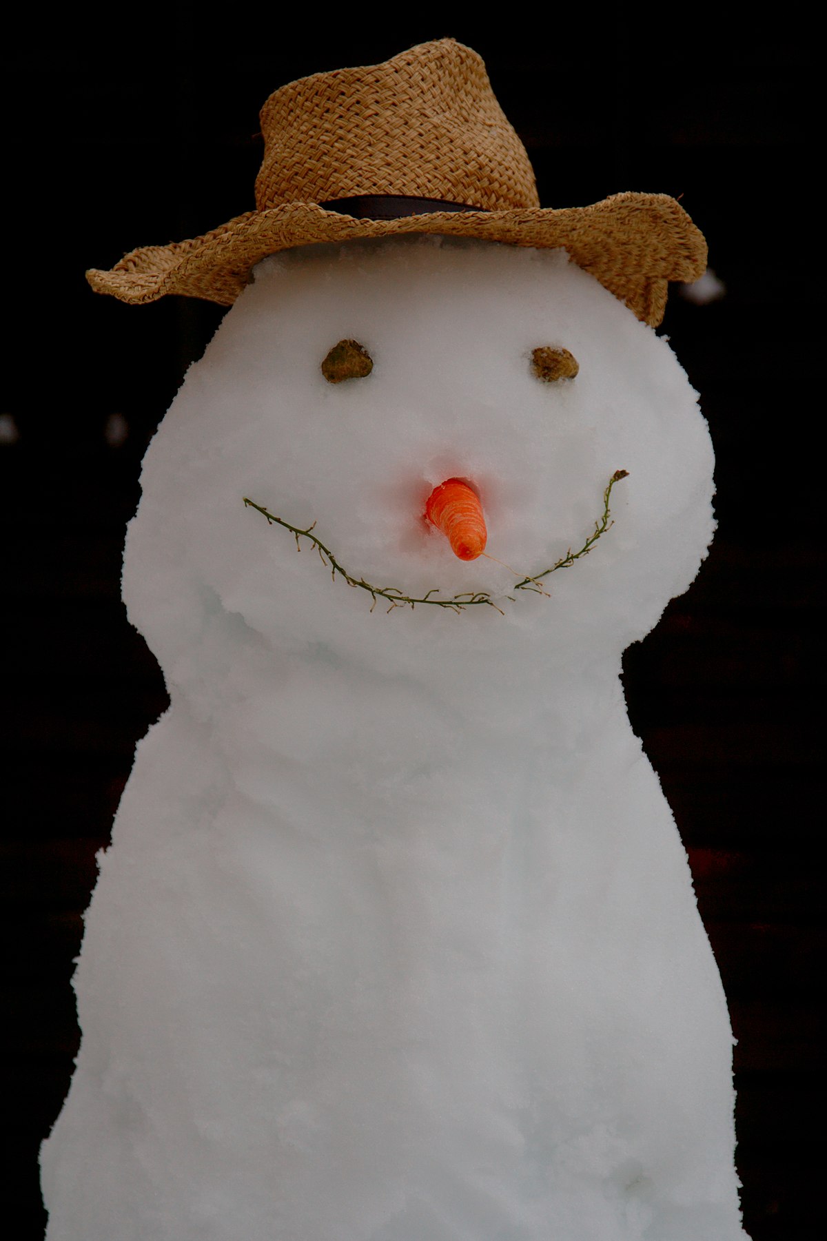 رجل الثلج ويكيبيديا