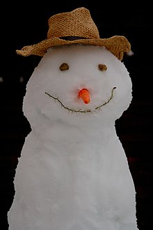 Snowman-20100106.jpg