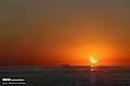 Solar eclipse of 2019 December 26 in Kish Island 06.jpg