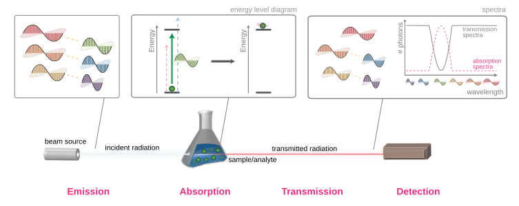 An overview of electromagnetic radiation absorption