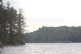 <span class="mw-page-title-main">Muskrat Lake (New York)</span> Lake in New York State, USA