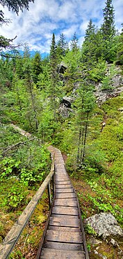 Stairs on the Kinnie Brook trail in Fundy National Park.