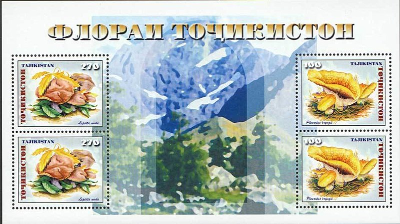 File:Stamp of Tajikistan - 1999 - Colnect 290915 - Mushrooms.jpeg