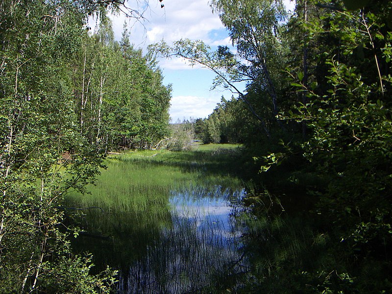 File:Stensjön, Tyresta national park, 2007-07-31, small bay on the Haninge side of the border.jpeg
