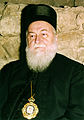 Stevan Kragujevic, Episkop sumadijski Sava.JPG