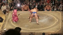 Plik: Sumo.webm