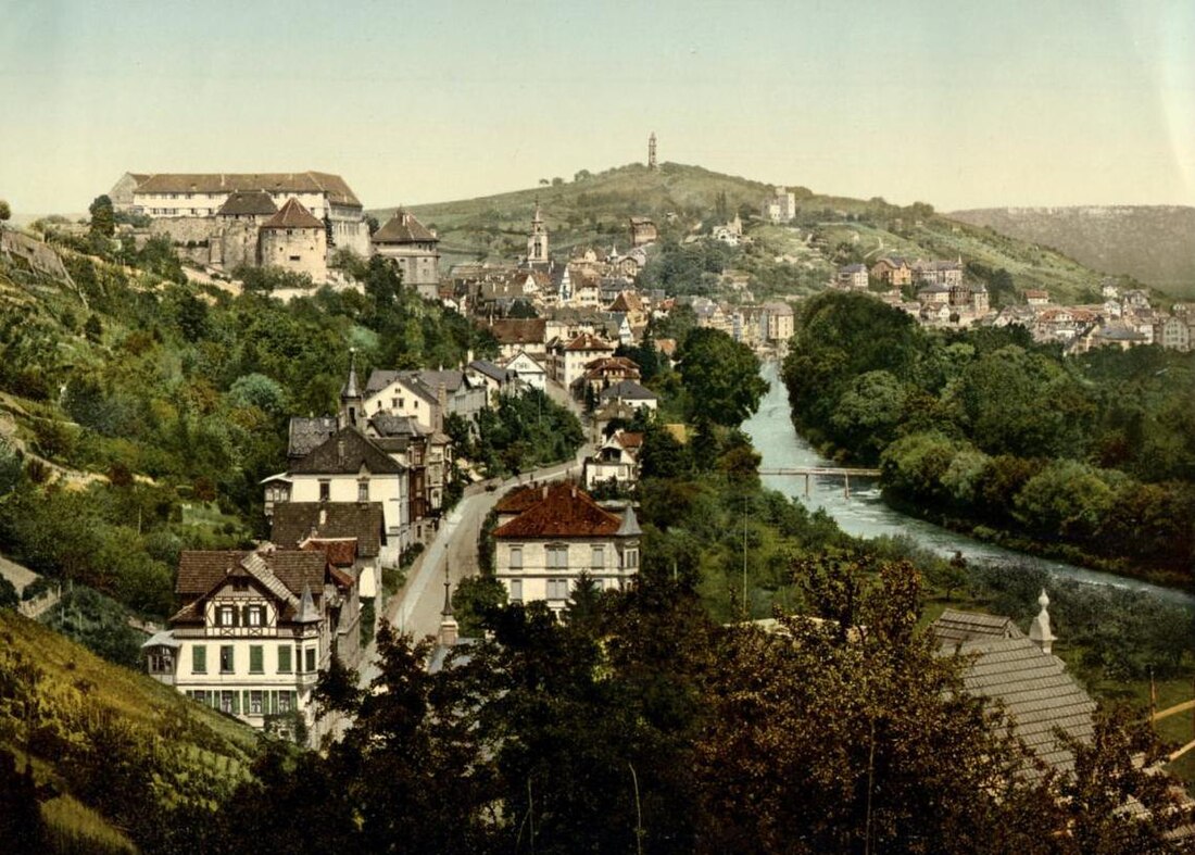 File:Tübingen mit Österberg u Neckarhalde vom Schlossberg (kol Fotografie).jpg