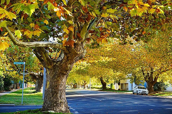 Tallarook Street during Autumn