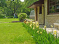 The chicken coop and greenhouse