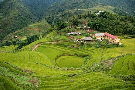 Tập_tin:Terraced_fields_Sa_Pa_4.jpg