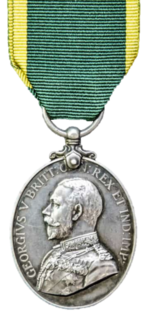 Territorial Efficiency Medal, obverse.png