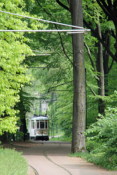 File:Tramlijn Openluchtmuseum 76.JPG