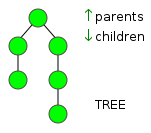 Tree diagram en.svg