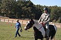 US Army 52807 Horse therapy gallops toward helpful transitions.jpg