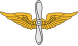 Branche de l'aviation de l'armée américaine Insignia.svg