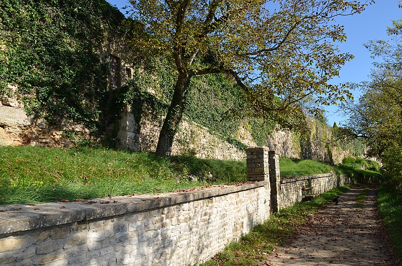 File:Un chemin (de ronde ?) à Vézelay en novembre 2014.jpg