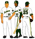Thumbnail for Baseball uniform