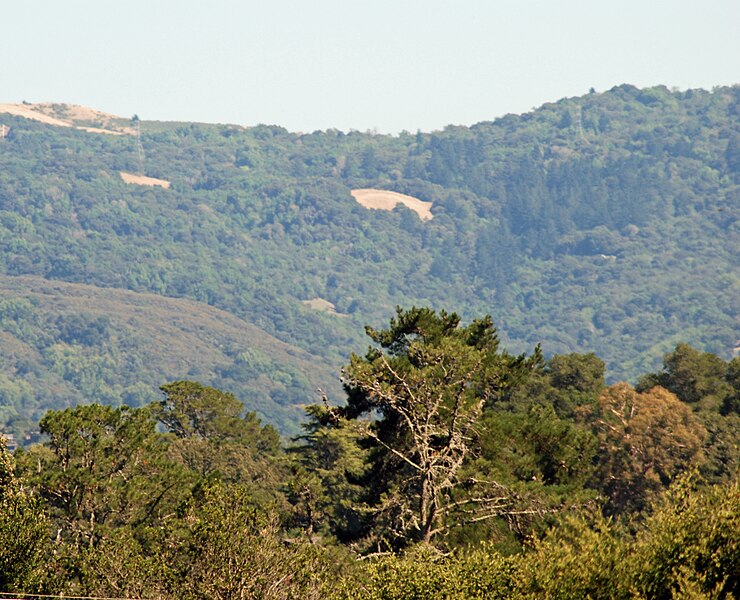 File:Upper Watershed with Russian Ridge on Right and Montello Ridge on Left July 2011.jpg