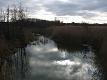 Река Усмань близ села Хреновое