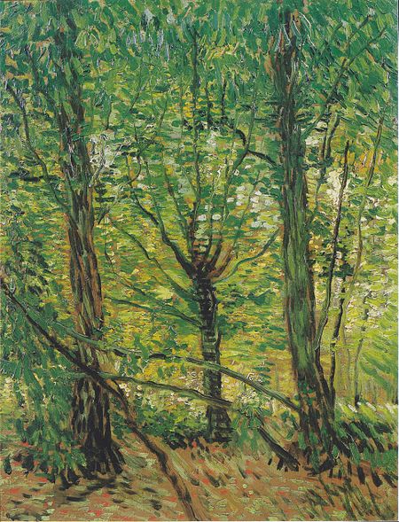 Cây và bụi cây (loạt tranh của Van Gogh)