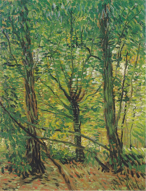 Trees and Undergrowth, 1887, Van Gogh Museum, Amsterdam (F307) Van Gogh - Baume und Unterholz.jpeg