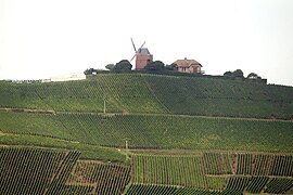 Verzenay, die Windmühle