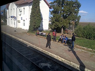 <span class="mw-page-title-main">Vicșani railway station</span> Railway station in Romania