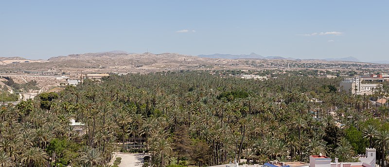 File:Vista del Palmeral desde la torre de la Basílica de Santa María, Elche, España, 2014-07-05, DD 09.JPG