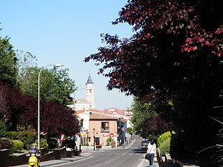 <span class="mw-page-title-main">Seseña</span> Municipality in Castilla–La Mancha, Spain