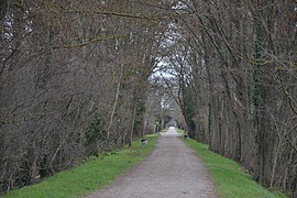 Chemin des filatiers à Mirepoix