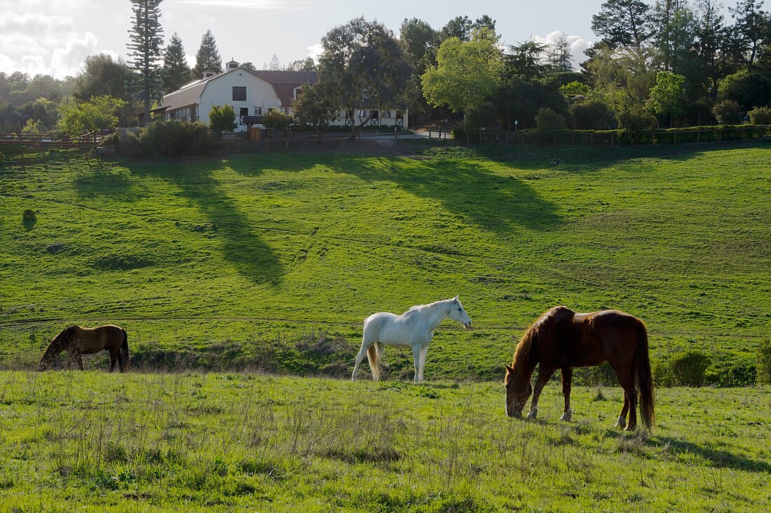 Los Altos Hills, California