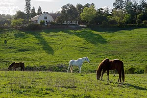 Westwind Community Barn Los Altos Hills.jpg