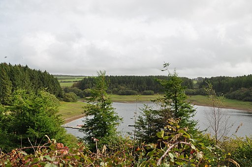 Wistlandpound Reservoir (1138)